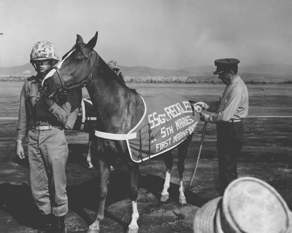 Staff Sergeant Reckless War Hero