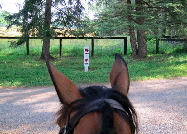 State Arboretum of Virginia equestrian trails