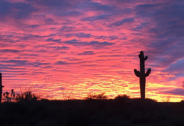 arizona sunset