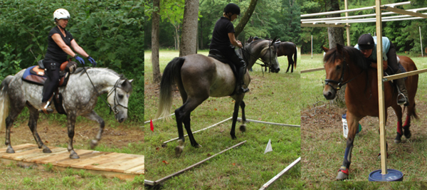 TREC Cross Country Obstacle Course