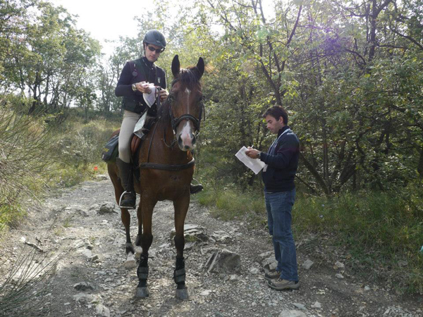 TREC Orienteering Check Point