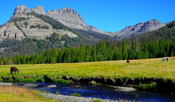 T Cross Ranch