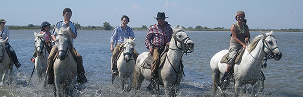 vaquero leads a trail ride on the beach in camargue france