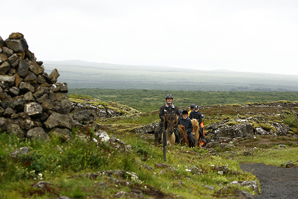 Thingvellir Viking Horse Trails Iceland