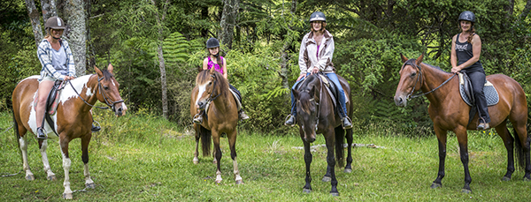 Riders at Ti Tree Hills near Auckland ride through native bush