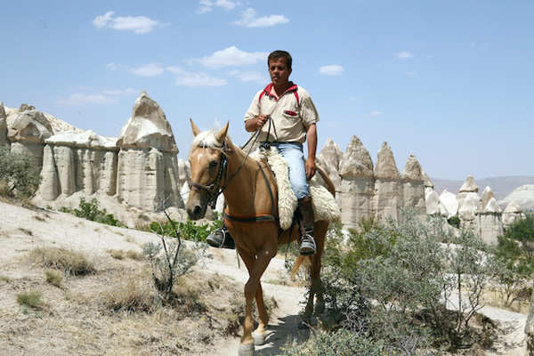 Cappadocia horses