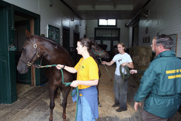 University of Vermont Morgan Horse Farm