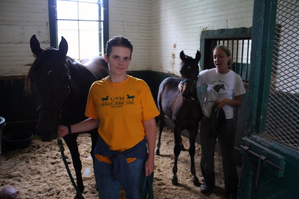 UVM horse stall