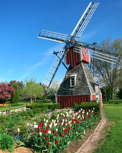 Veldheer's Tulip Farm Michigan