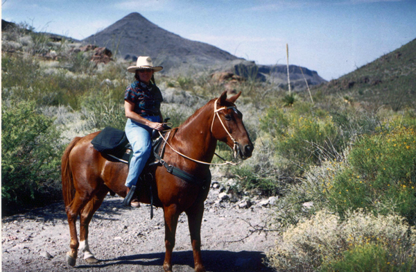 big bend state park horseback