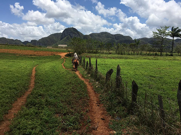 Cuba horseback riding Vinales