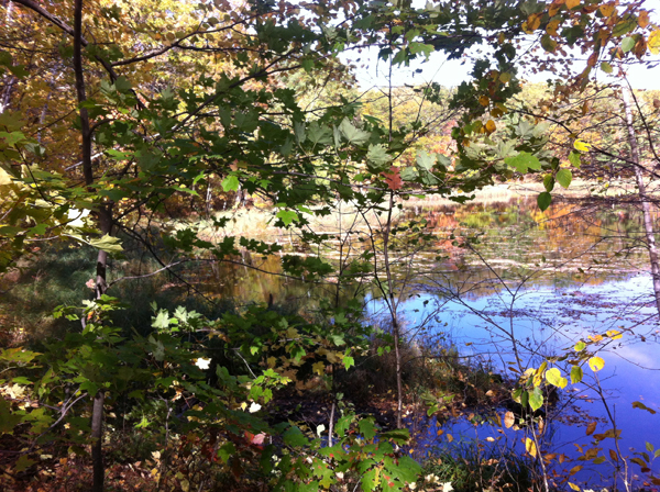 WI horseback riding trails