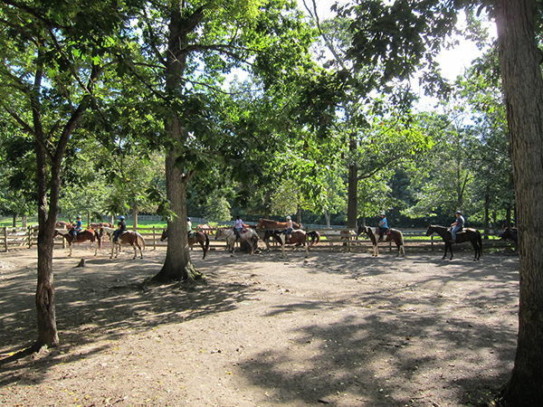 WV horse camp for kids