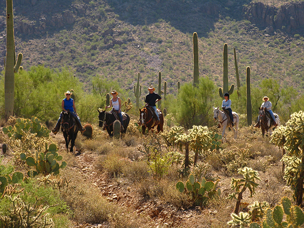 white stallion ranch arizona trail ride