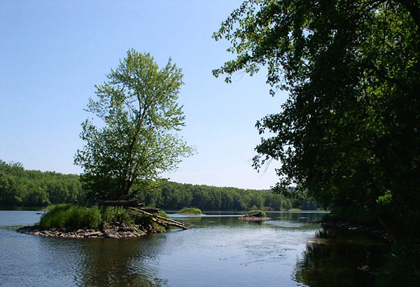 wild river state park minnesota river