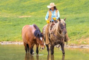 The Natural Connection at The Marriott Ranch