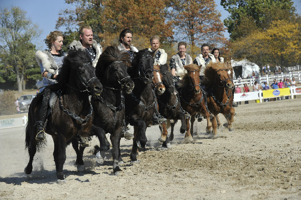 Gudmar Petursson and the Knights of Iceland performing on Icelandic Horses