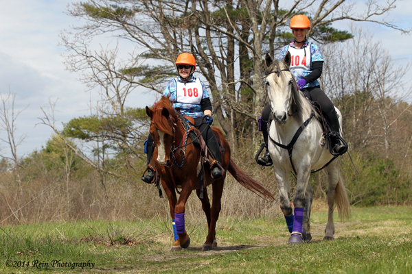competitive trail riding competition