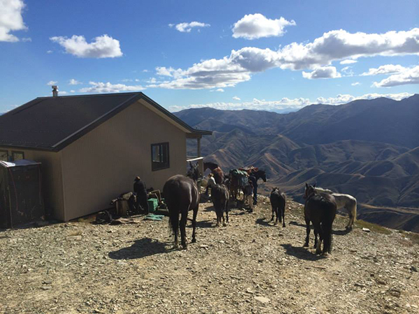 guests take a break from horseback riding to enjoy the view in New Zealand hosted by Adventure Horse Trekking