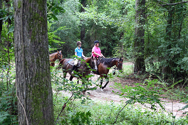 Aiken Hitchcock Woods horseback