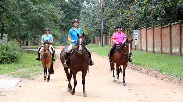 Aiken horse district horseback