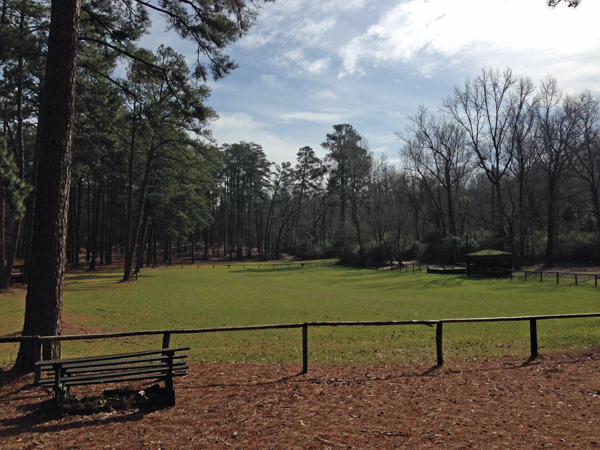 Aiken Horse Show Ring