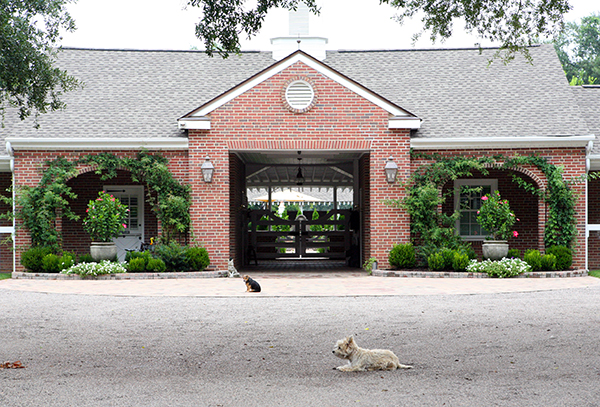 aiken stables historic