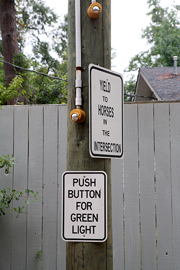 aiken yield to horses