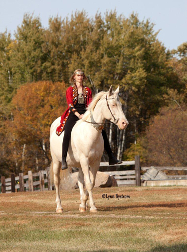 Akhal-Teke horse breed