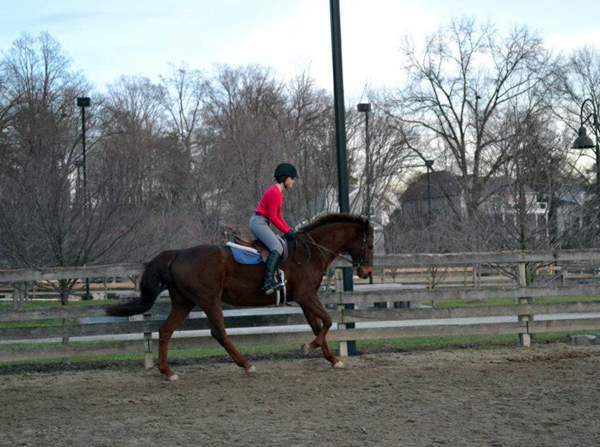 Alexis Spencer Meadowbrook Stables, DC