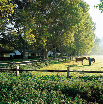 alisal ranch pastures