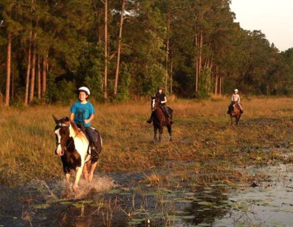 all hitched up horseback florida