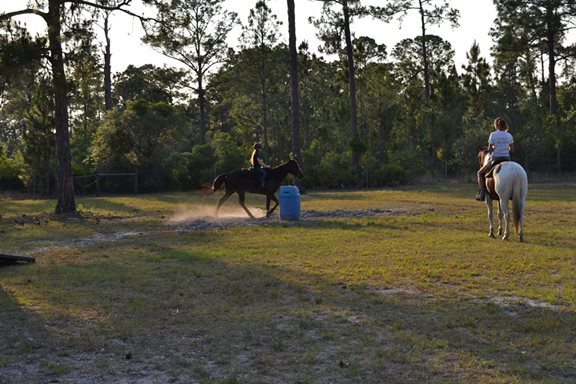 All Hitched Up Horseback Riding