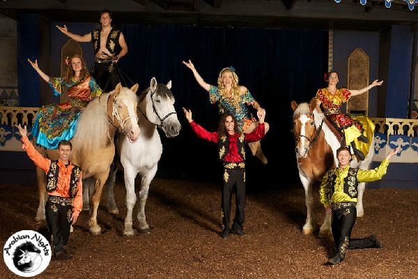Equestrian entertainment Arabian Nights dinner show In Orlando Florida