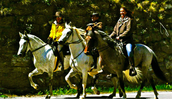 alps horseback riding austria
