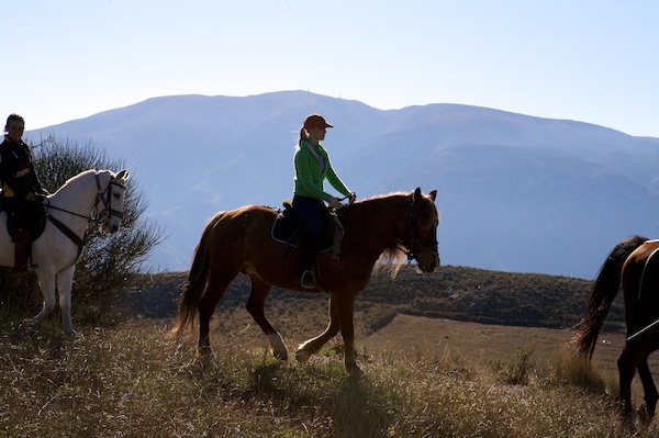 Alpujarras Spain horses