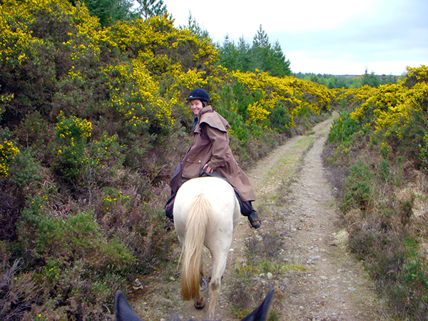 galway riding holiday