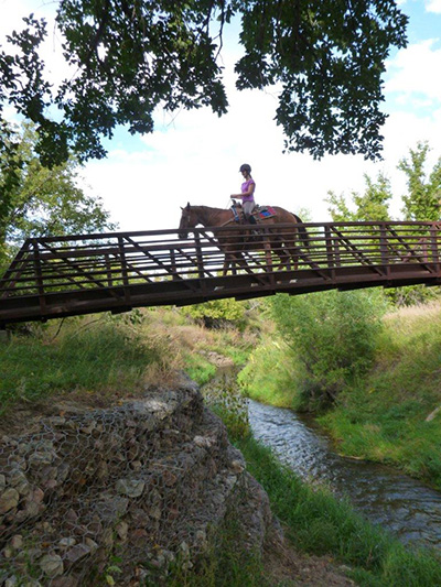 AQHA Trail Riding Challenge Equestrian