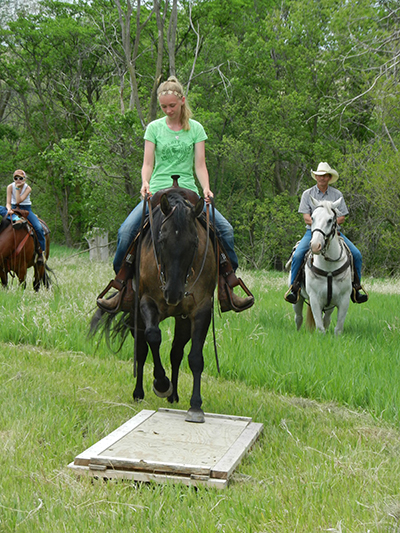 AQHA Trail Riding Challenge Equestrians