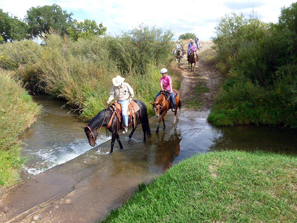 AQHA Trail Riding Challenge