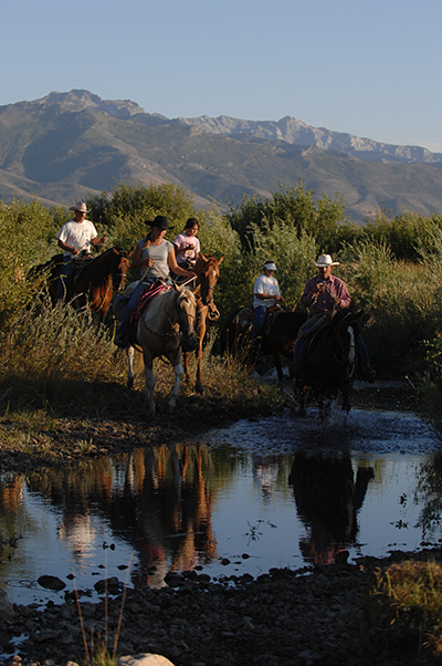 AQHA Trail Riding