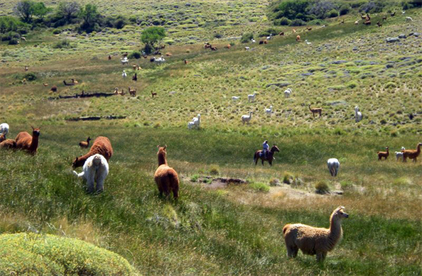 Argentina horseback riding holidays