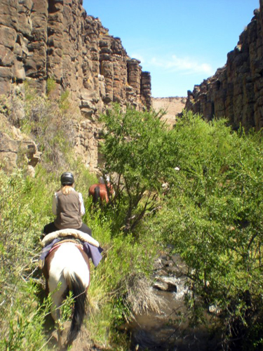 Argentina riding holidays