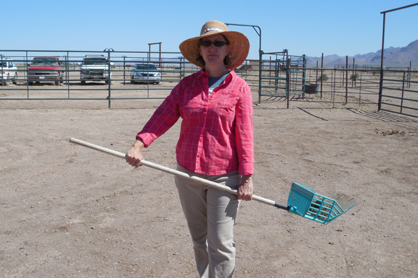 arizona horseback riding poop scoop