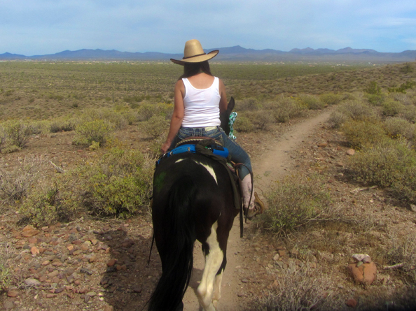 scottsdale arizona horseback riding trails