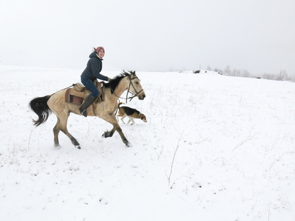 Armenia Cantering Horseback Ride