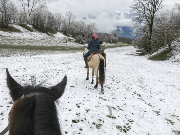 Armenia Horseback RIding