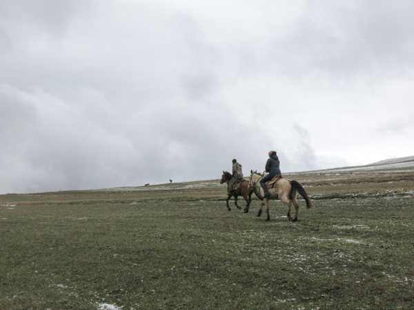 Armenia Horse Ride Cantering