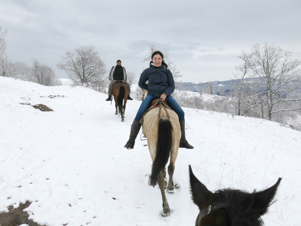 Horseback Riding Backwards