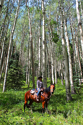 Rainbow Trout Ranch Aspen Horseback Riding